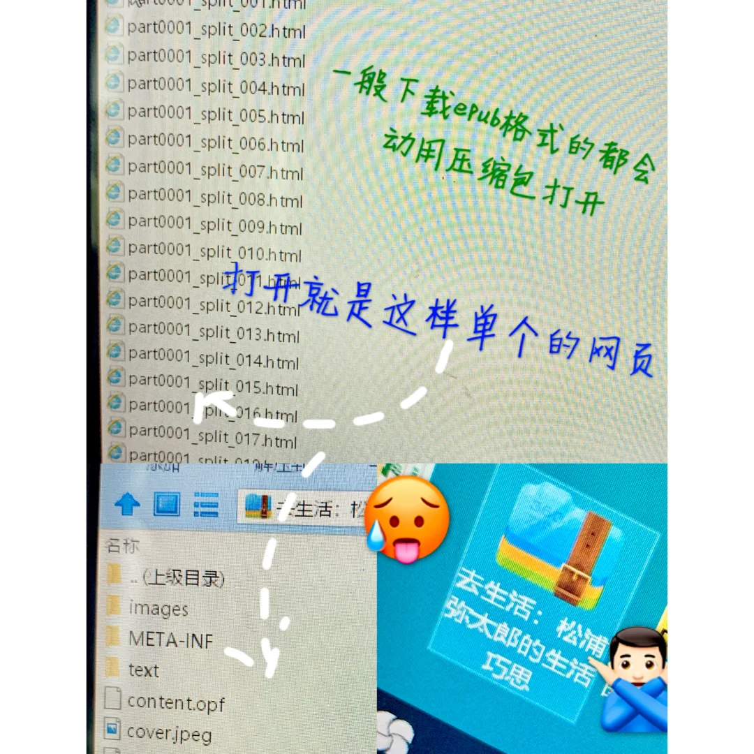 Windows系统看epub格式电子书方法🧞‍♂️