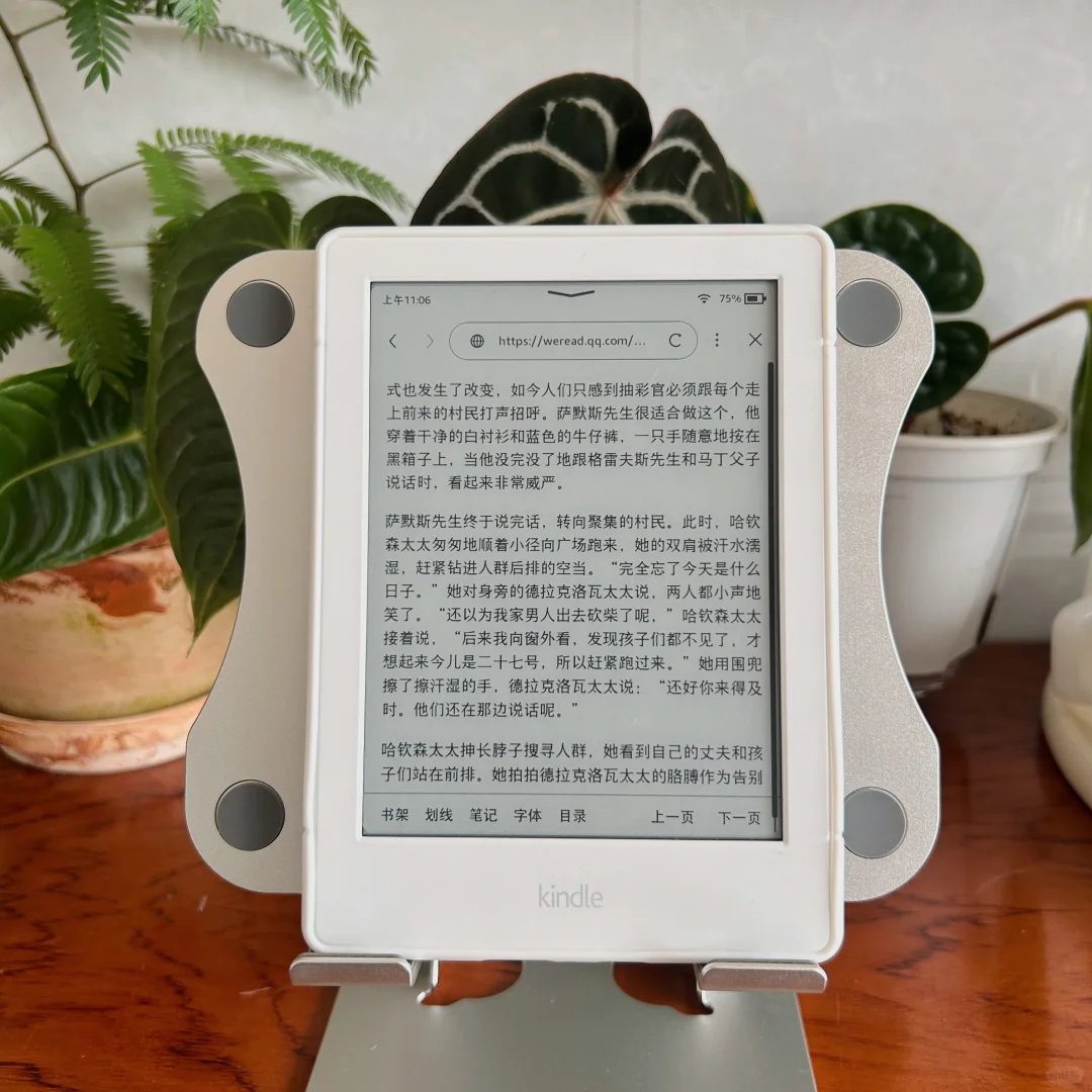 阅读kindle仪式感要足📖