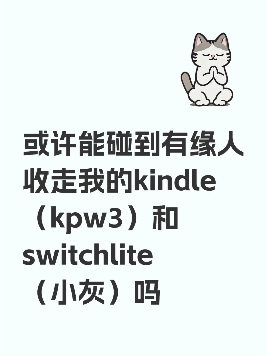 kindle，switch，两张卡带均预订（到货删）