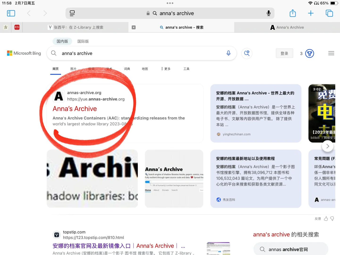 safari浏览器：zlibrary文件保存到网盘