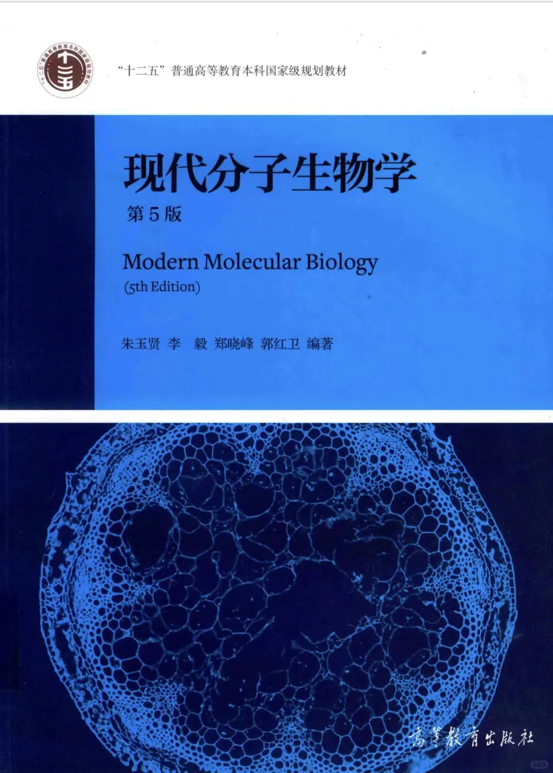 朱玉贤 现代分子生物学pdf电子书