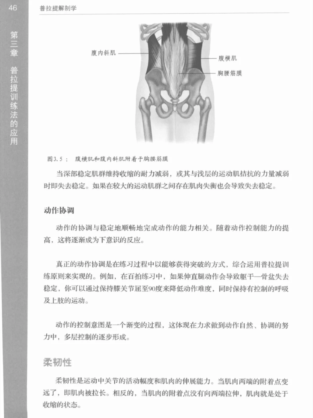 普拉提解剖学📚可分享PDF瑜伽电子书籍