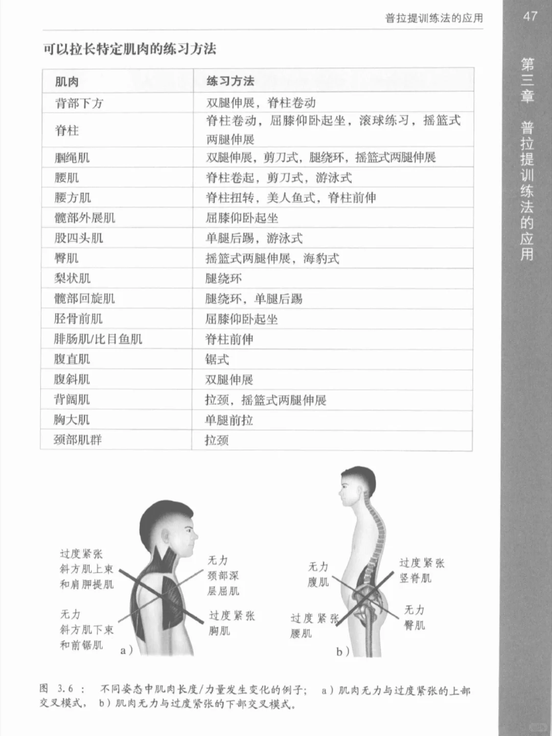 普拉提解剖学📚可分享PDF瑜伽电子书籍