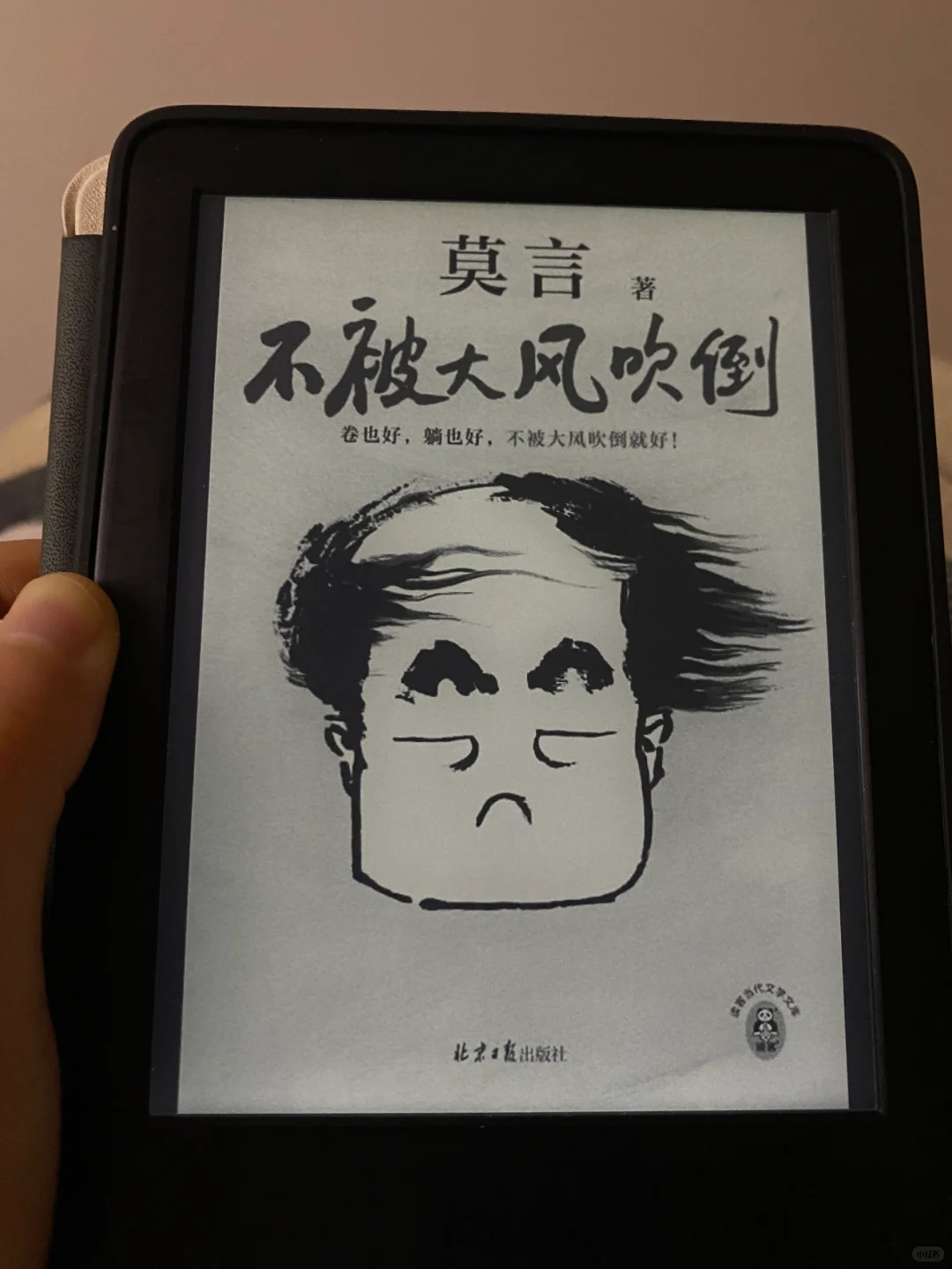 Kindle 我真的爽了