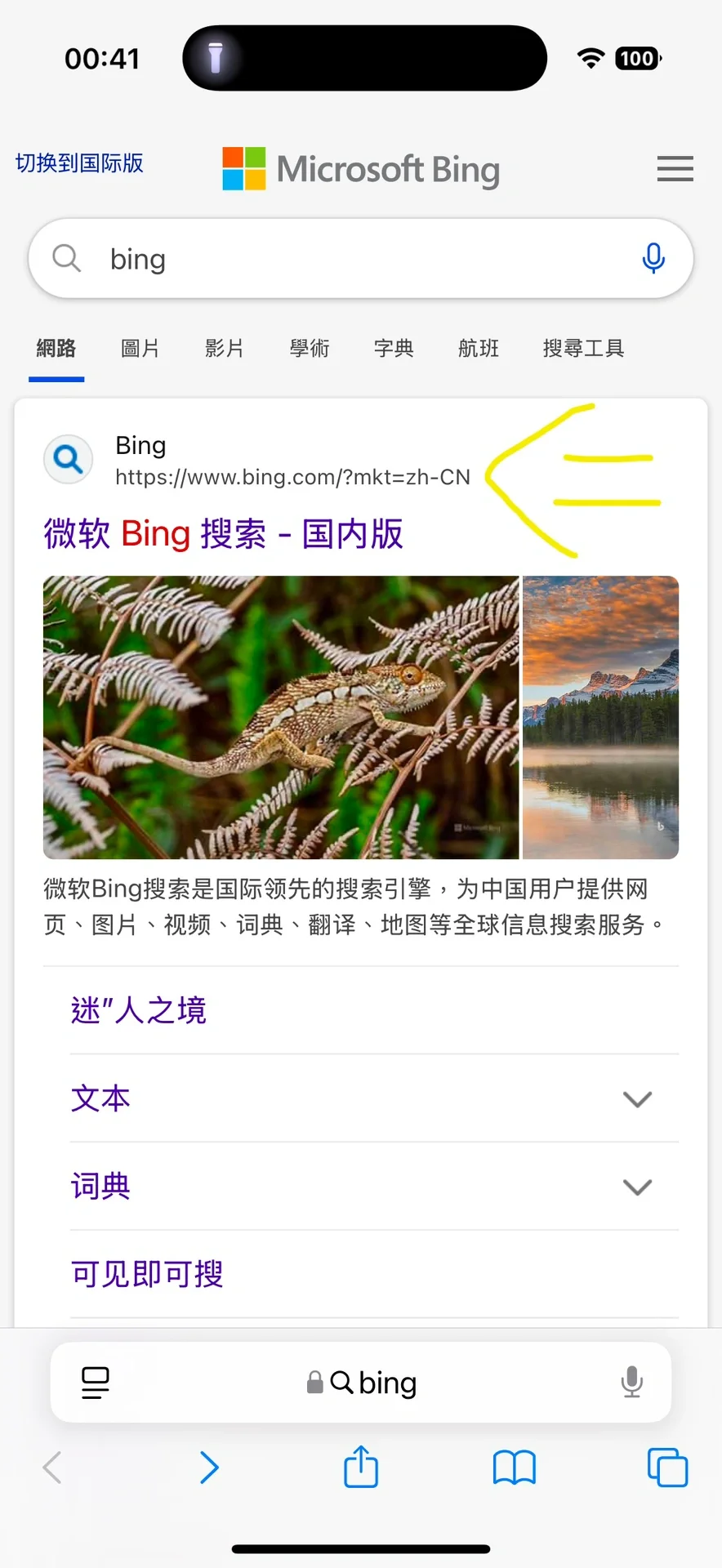 bing+Tbox+Z-library=阅读自由？