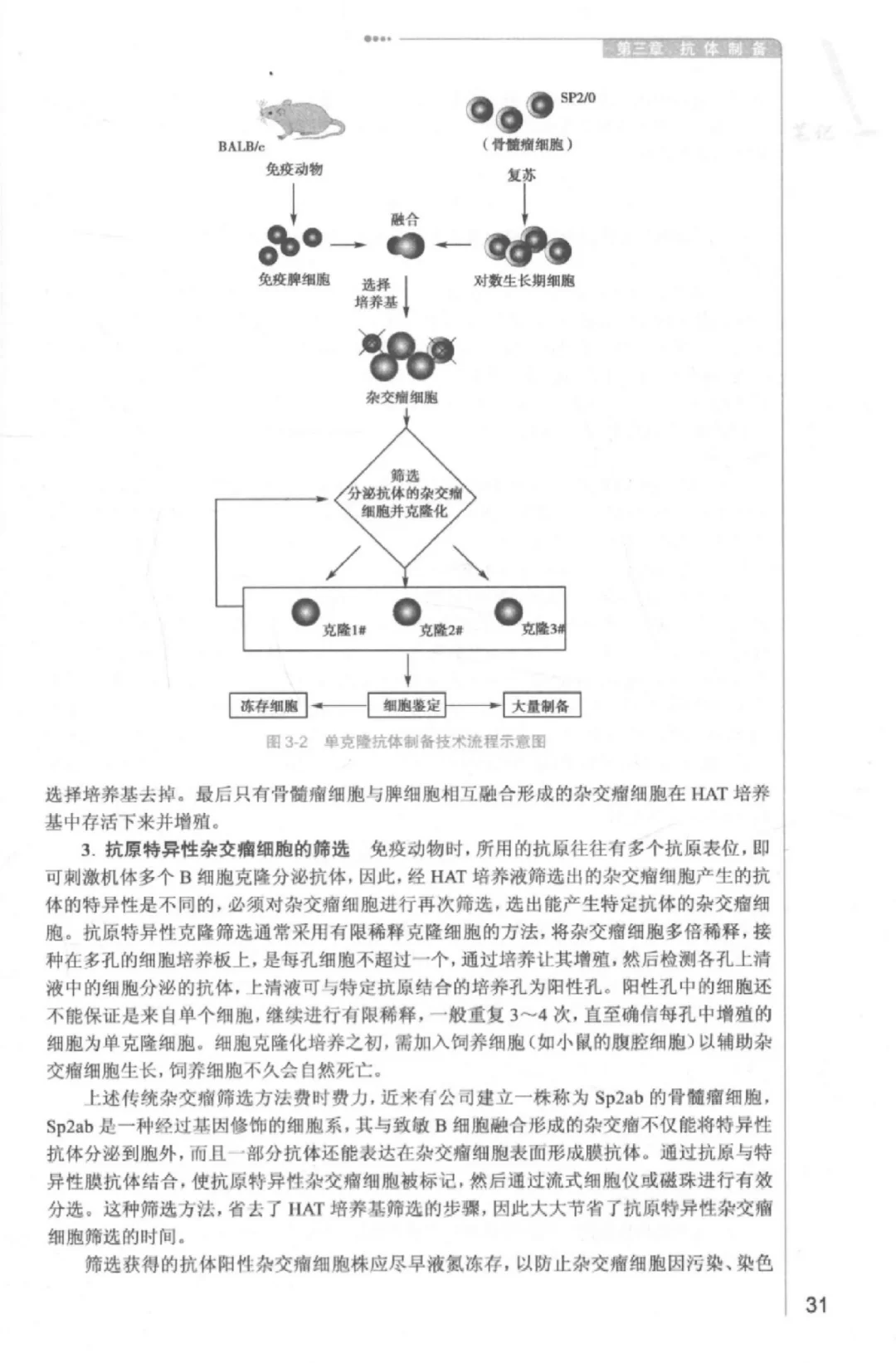 临床免疫学检验技术电子书分享