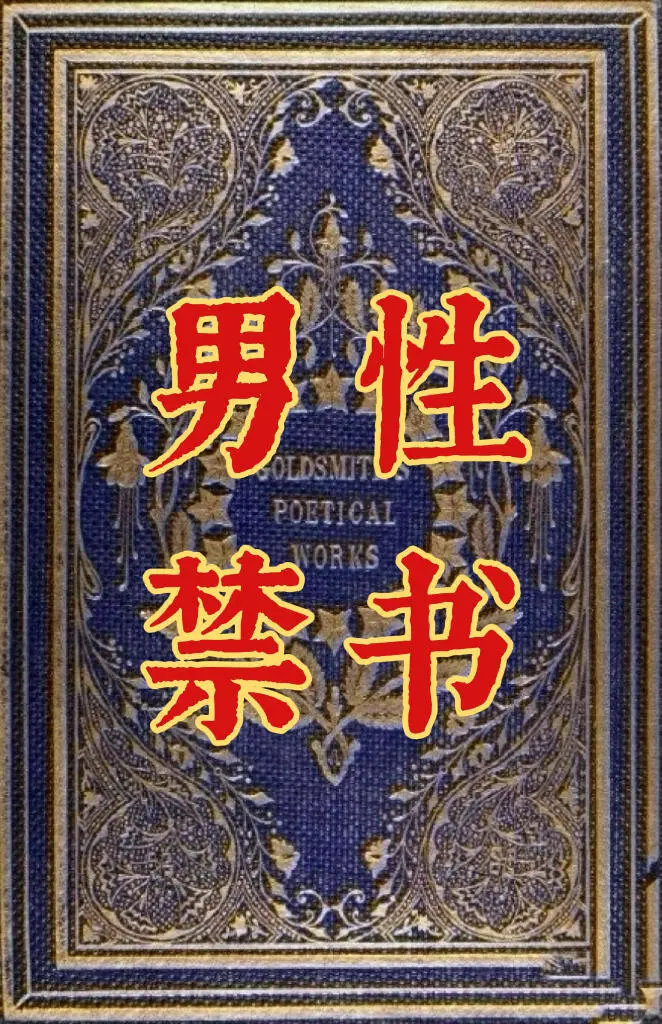 上层社会不愿让男性看到的绝版神书！