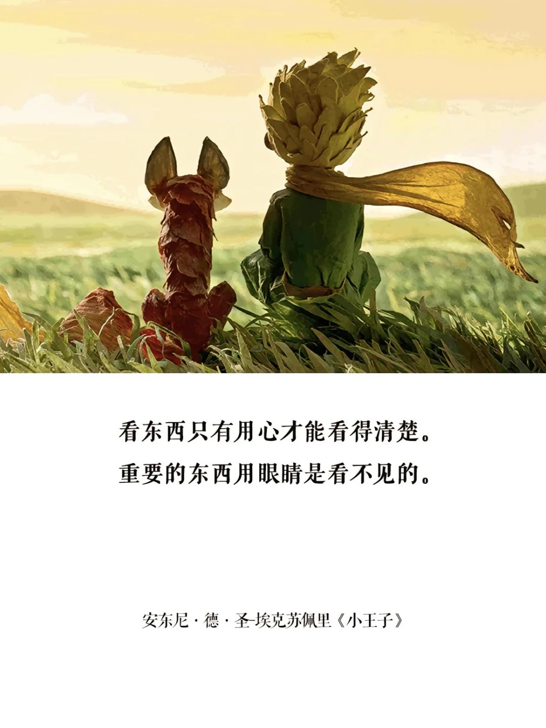 ✨📖 推书｜每个大人都该重读《小王子》