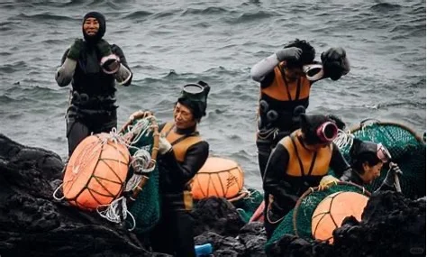 从海女职业透视性别平等