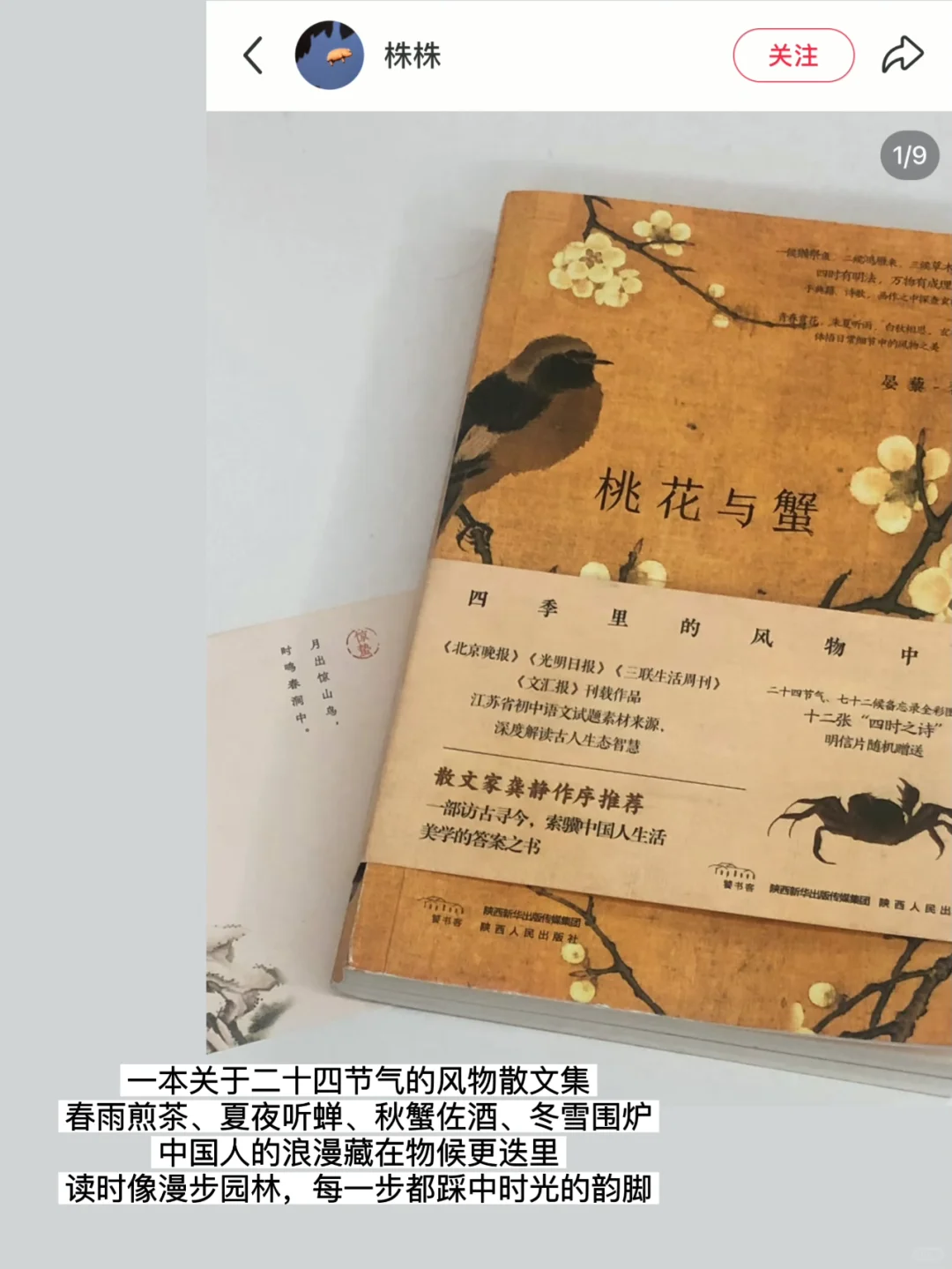 3月种草一些喜欢的书单📖