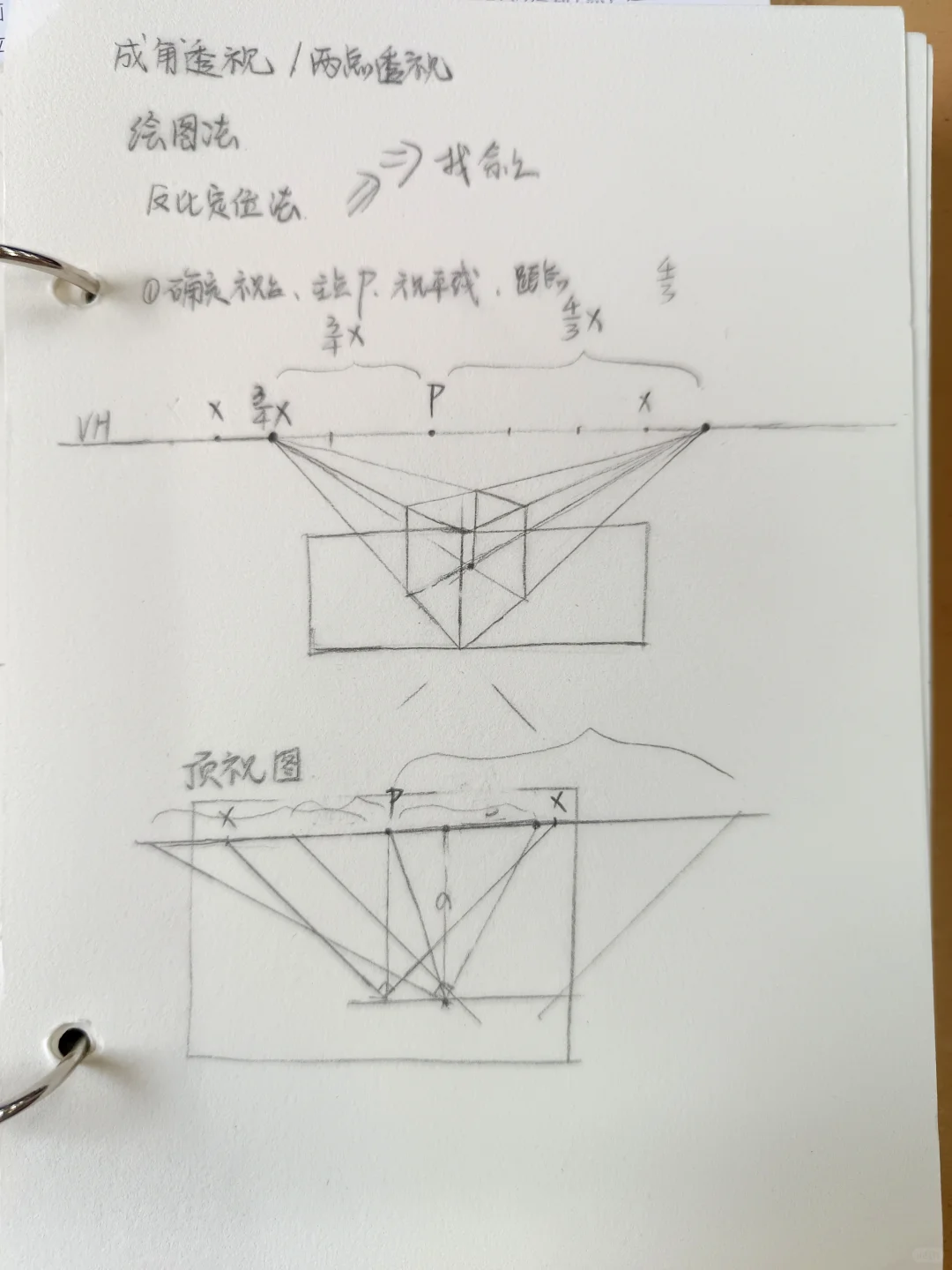 infp女大自学绘画day8