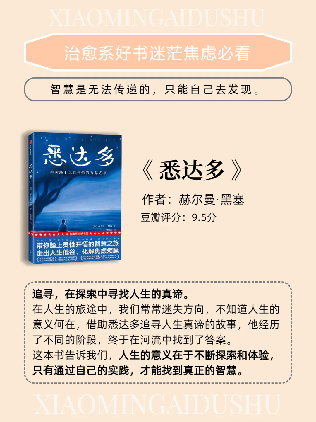 📖治愈系书单｜迷茫、焦虑、拧巴必看‼️