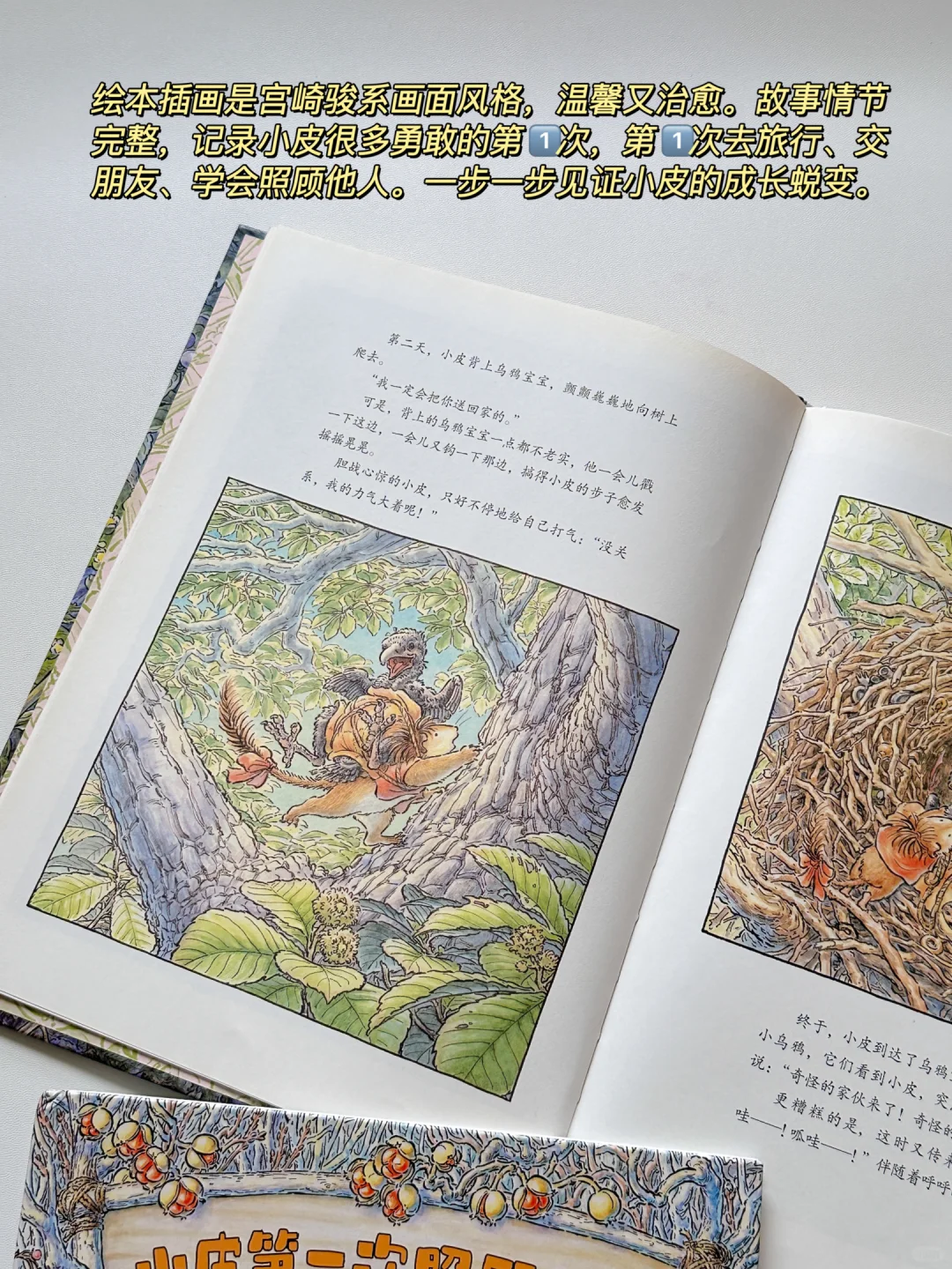 快收好🔥9套宝藏桥梁书书单 本本都爱看