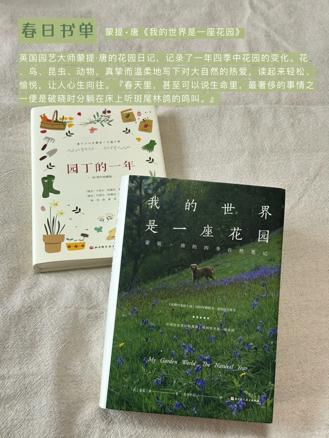 赠书🎁 | 春日书单推荐