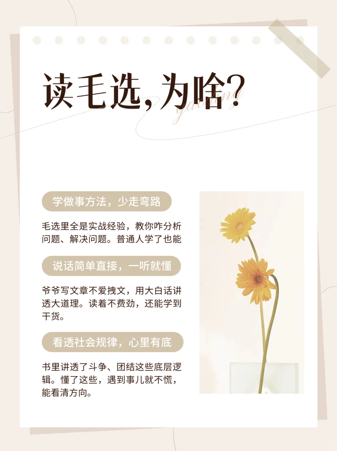 📚《毛选》系列电子书，提升人生的智慧✨