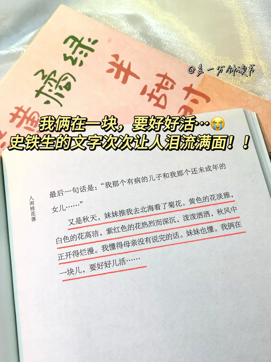 央妈推荐！！疯狂沦陷顶级文笔！太太太治愈了