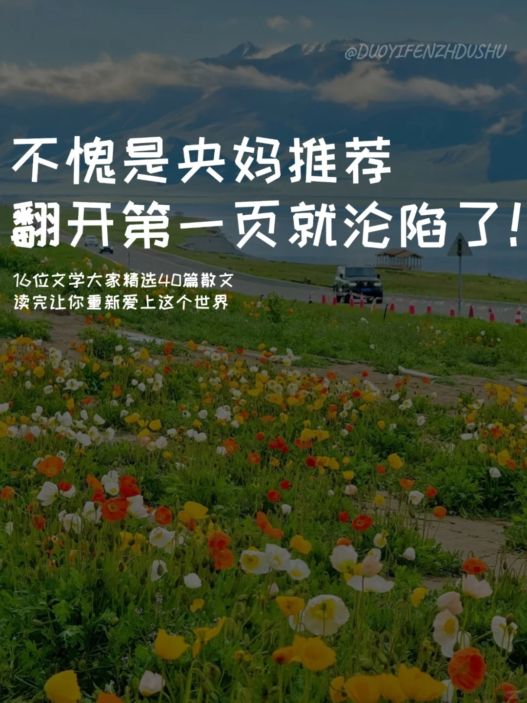 央妈推荐！！疯狂沦陷顶级文笔！太太太治愈了