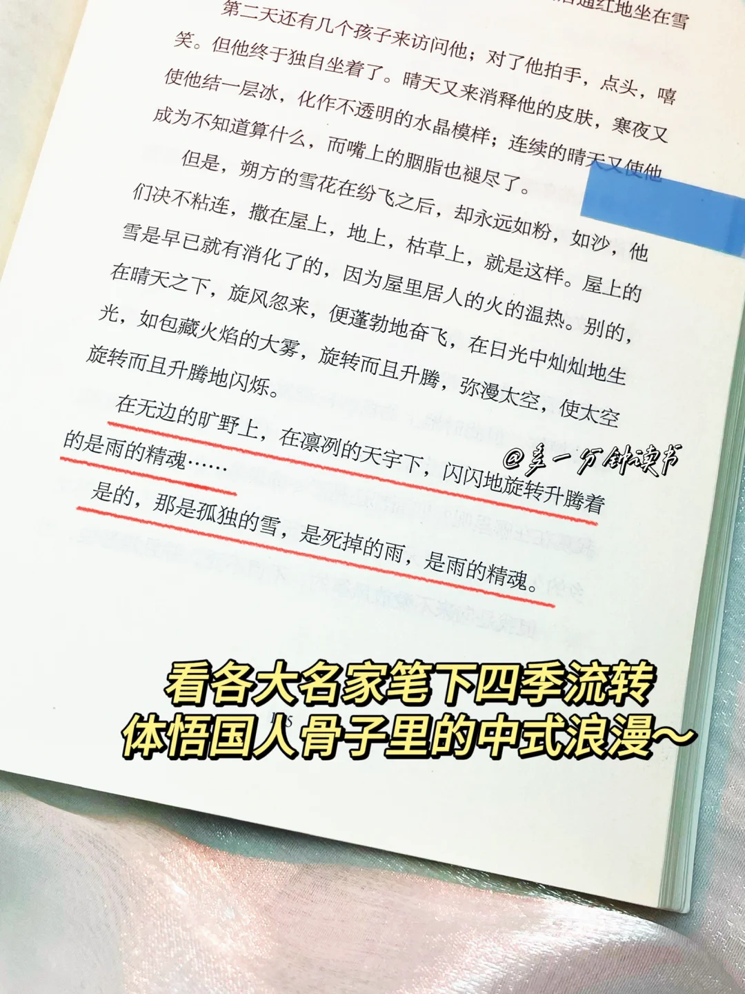 央妈推荐！！疯狂沦陷顶级文笔！太太太治愈了