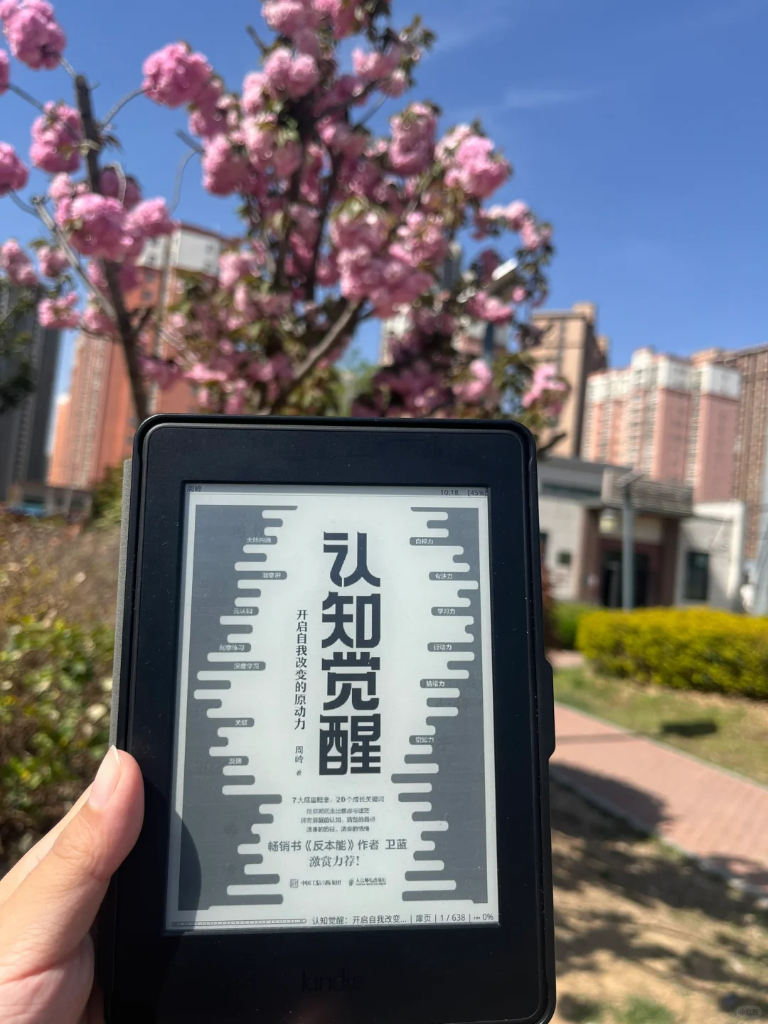 kindle kpw3入手真香📚