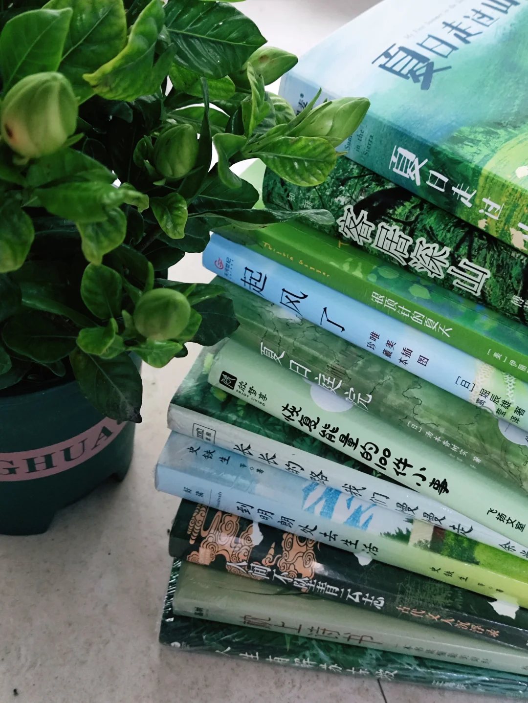 📚我的春日书单