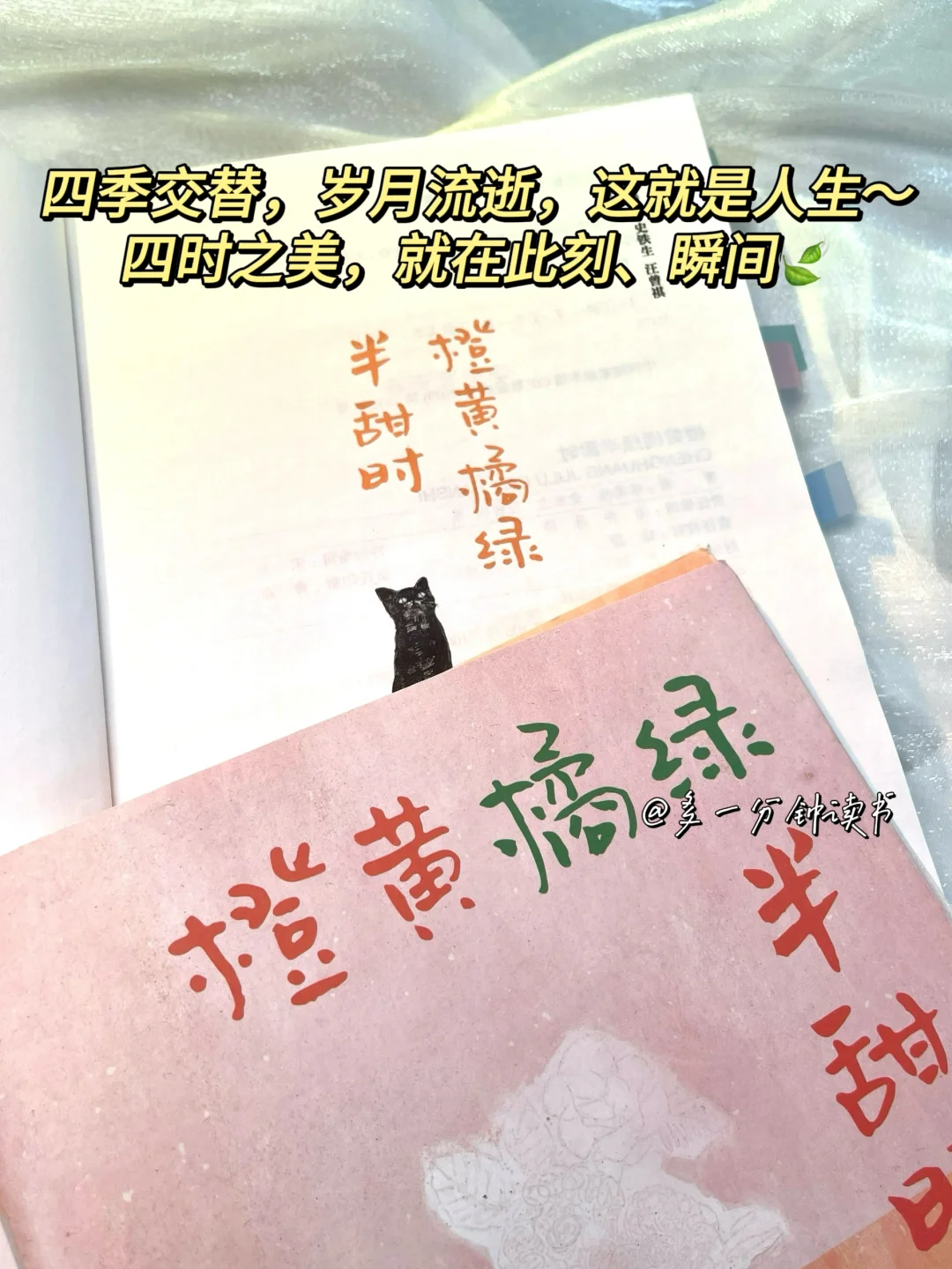 央妈推荐！！疯狂沦陷顶级文笔！太太太治愈了