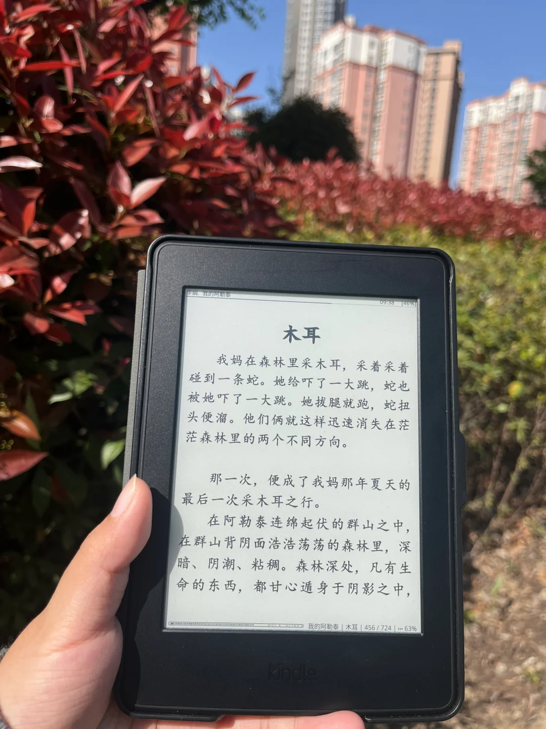 kindle kpw3入手真香📚