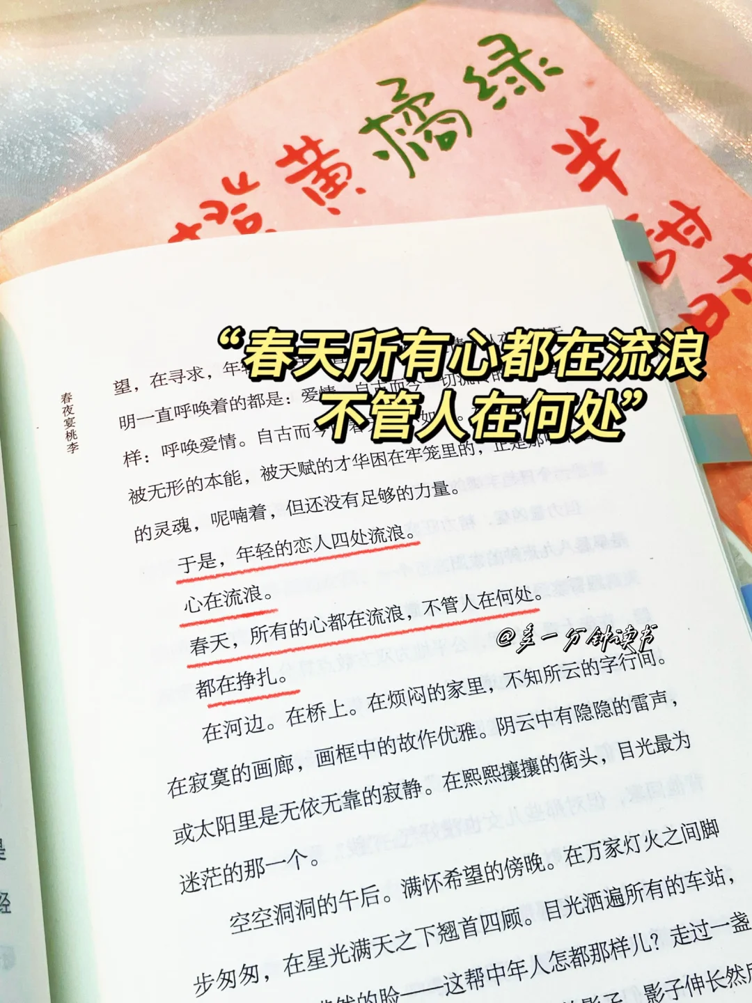 央妈推荐！！疯狂沦陷顶级文笔！太太太治愈了