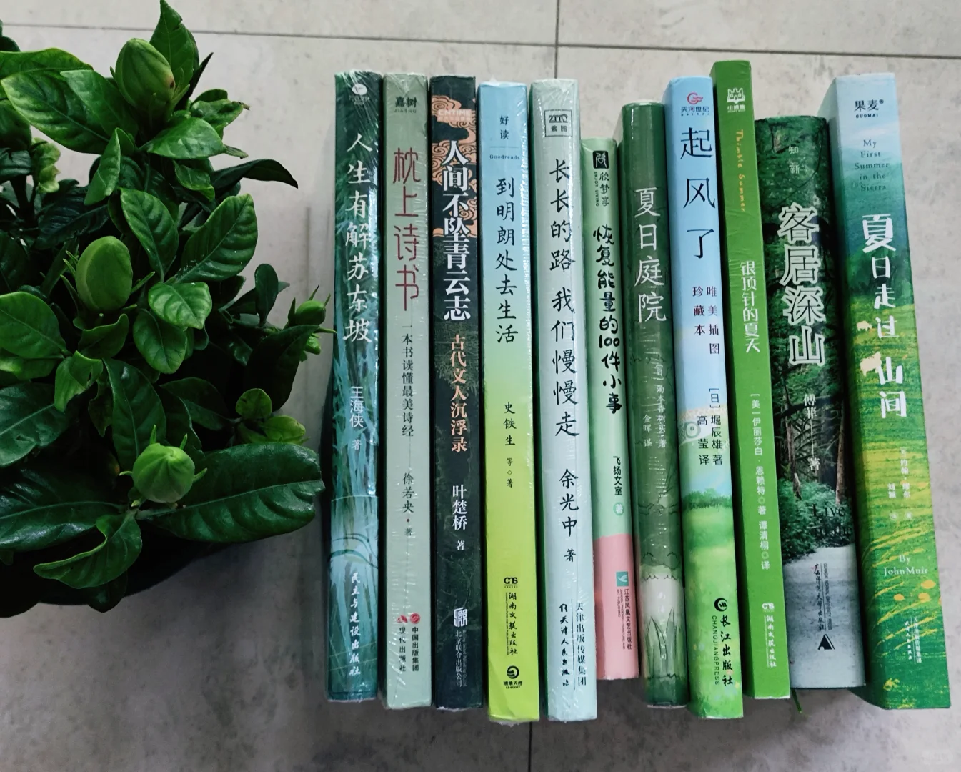 📚我的春日书单