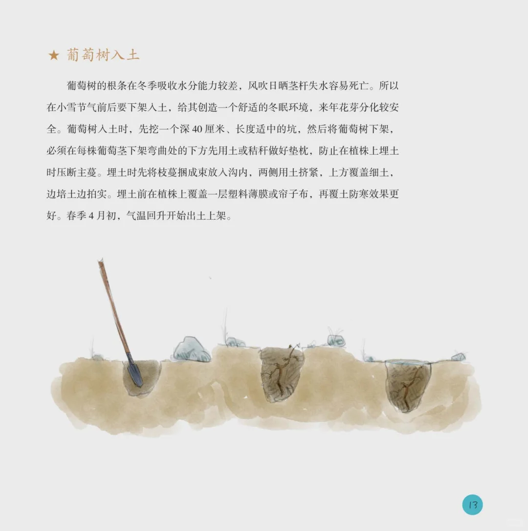 儿童绘本故事 二十四节气之冬电子书