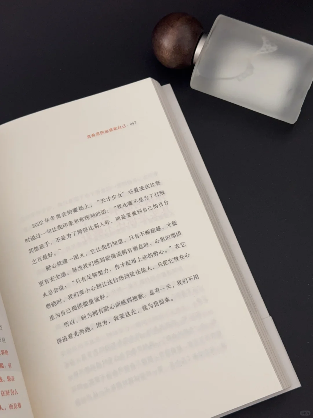 ⭐建议睡前别看！会想通宵！