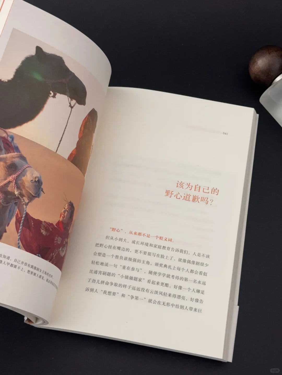 ⭐建议睡前别看！会想通宵！
