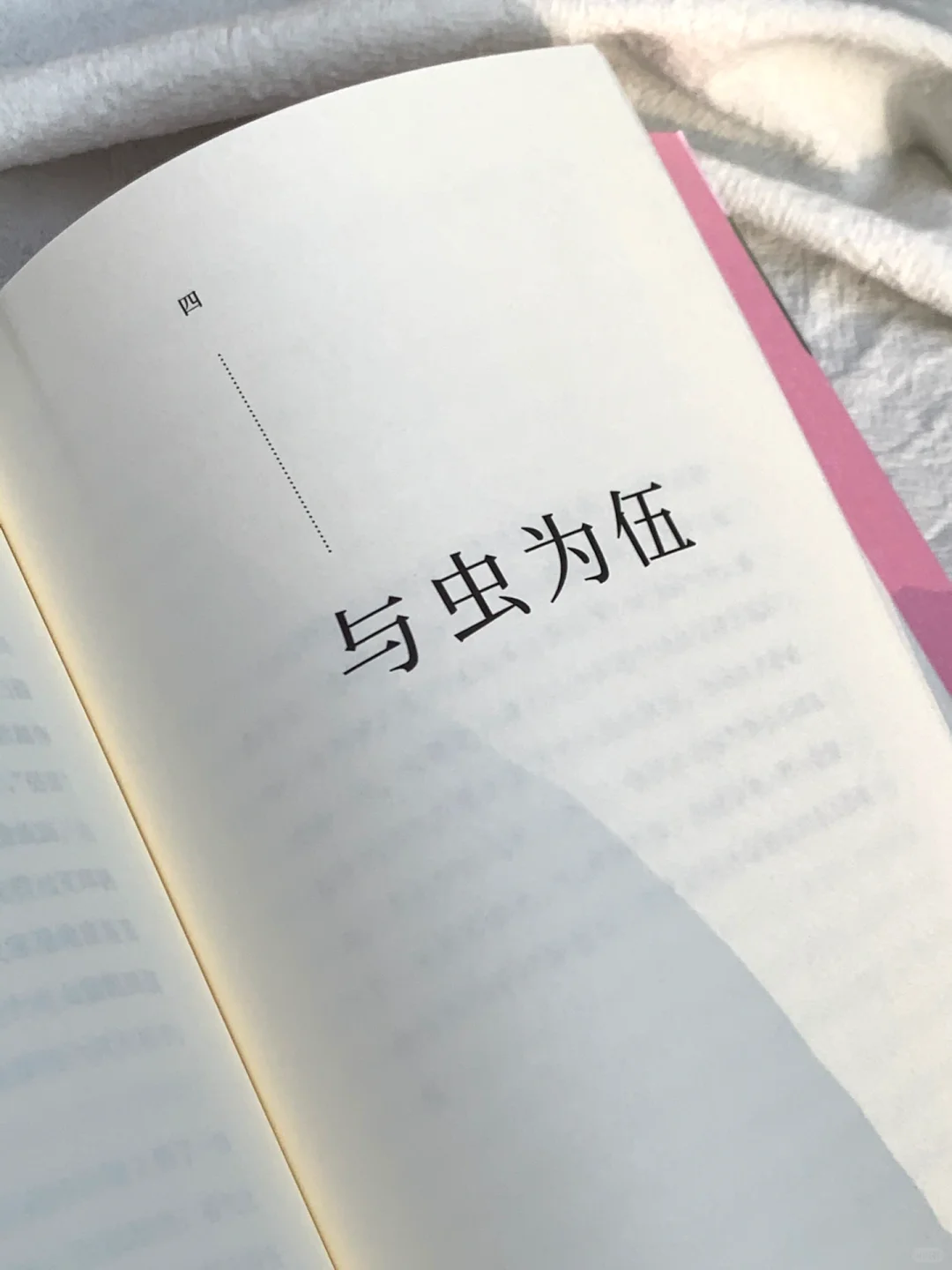太太太美了🌸怎么会有这么治愈的书啊！