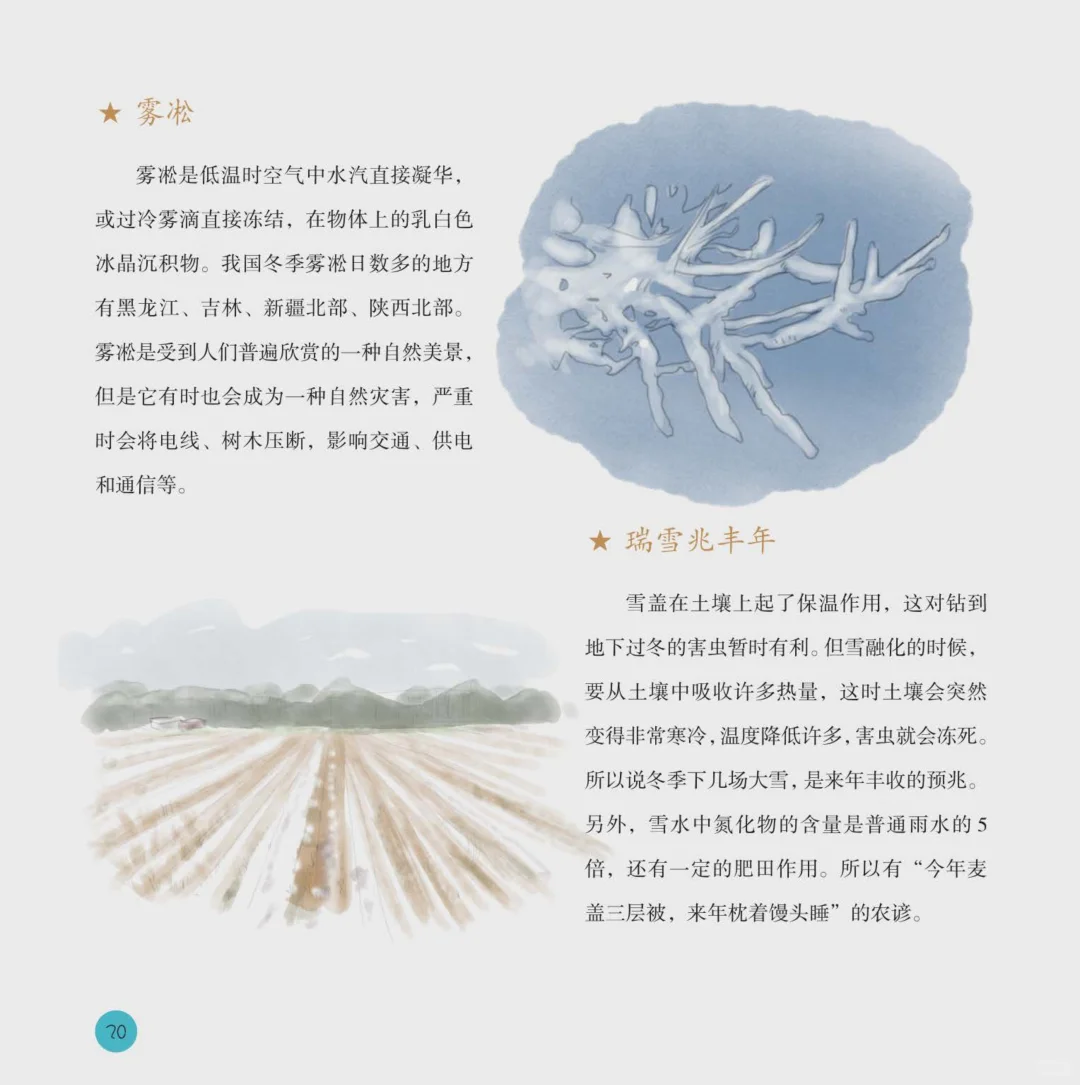 儿童绘本故事 二十四节气之冬电子书