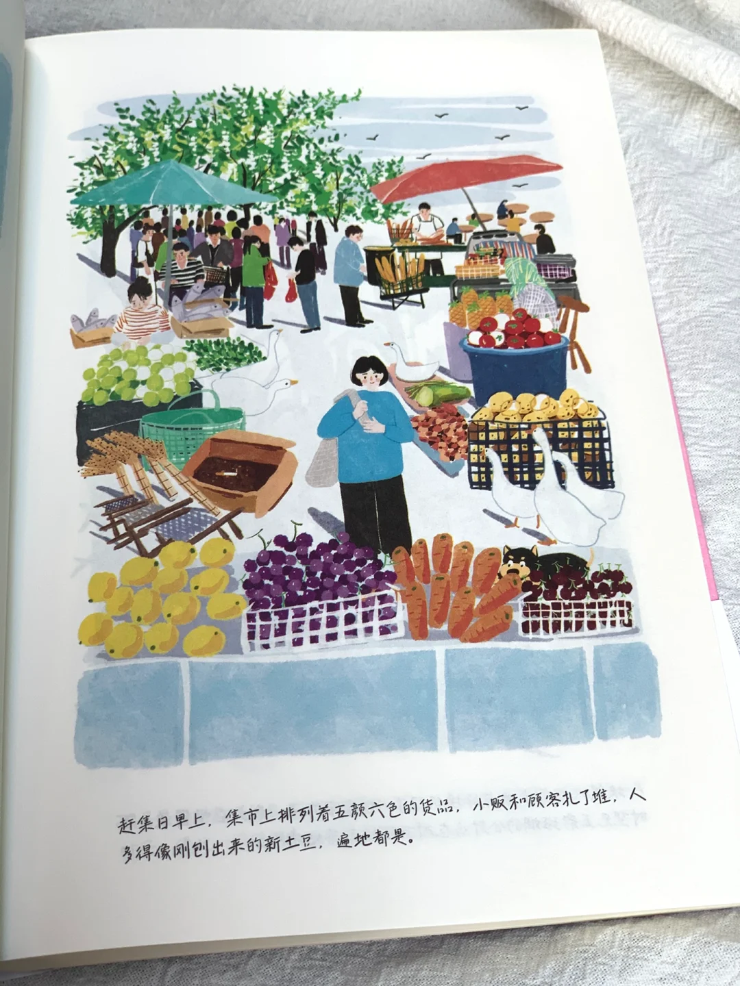 太太太美了🌸怎么会有这么治愈的书啊！