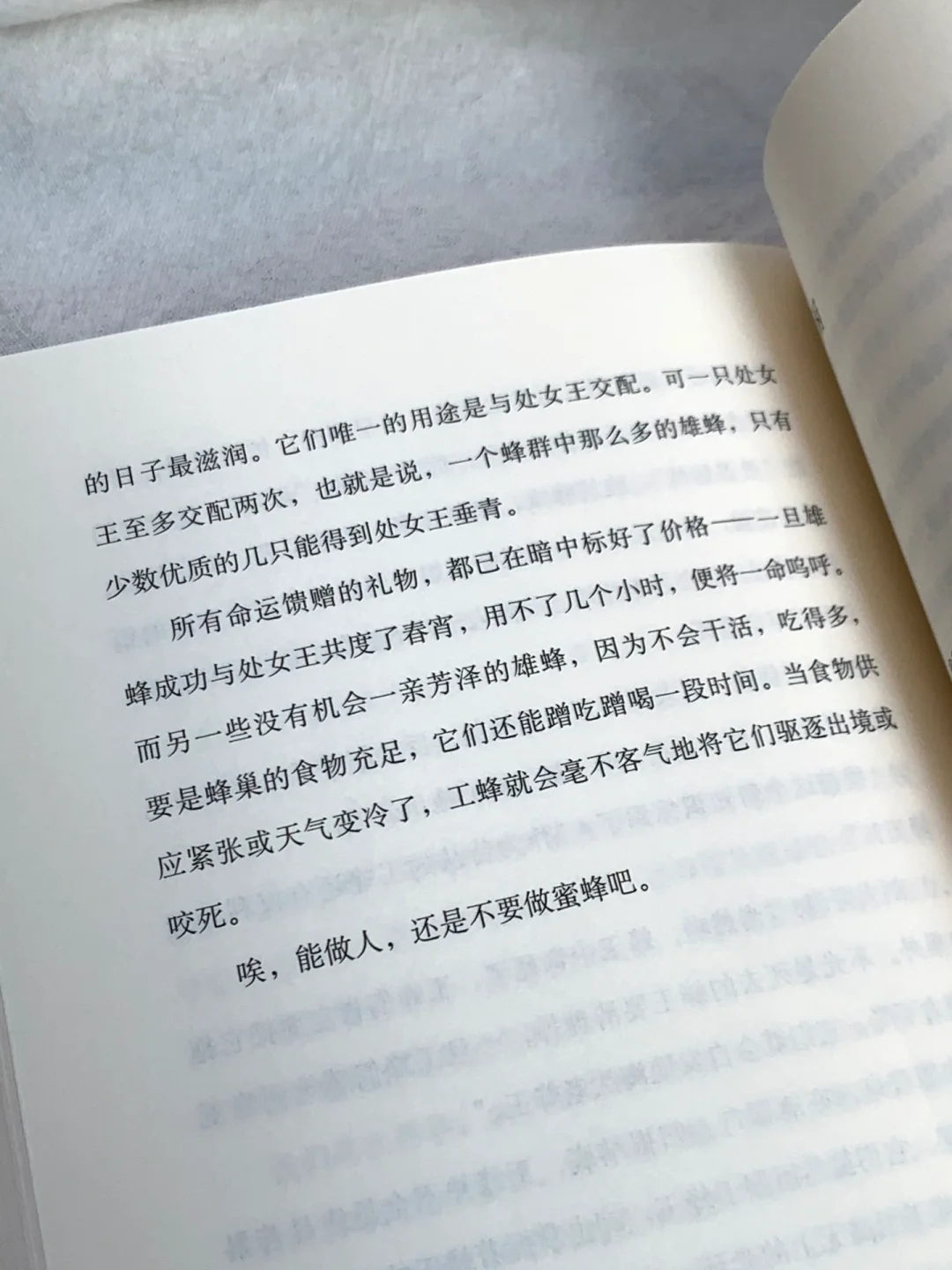 太太太美了🌸怎么会有这么治愈的书啊！