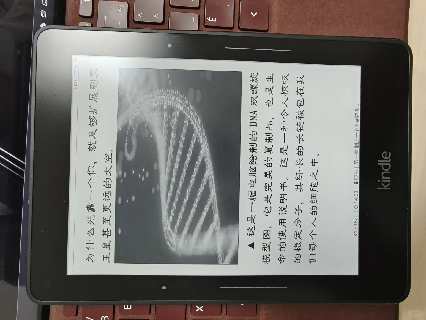 kindle voyage还是能打的