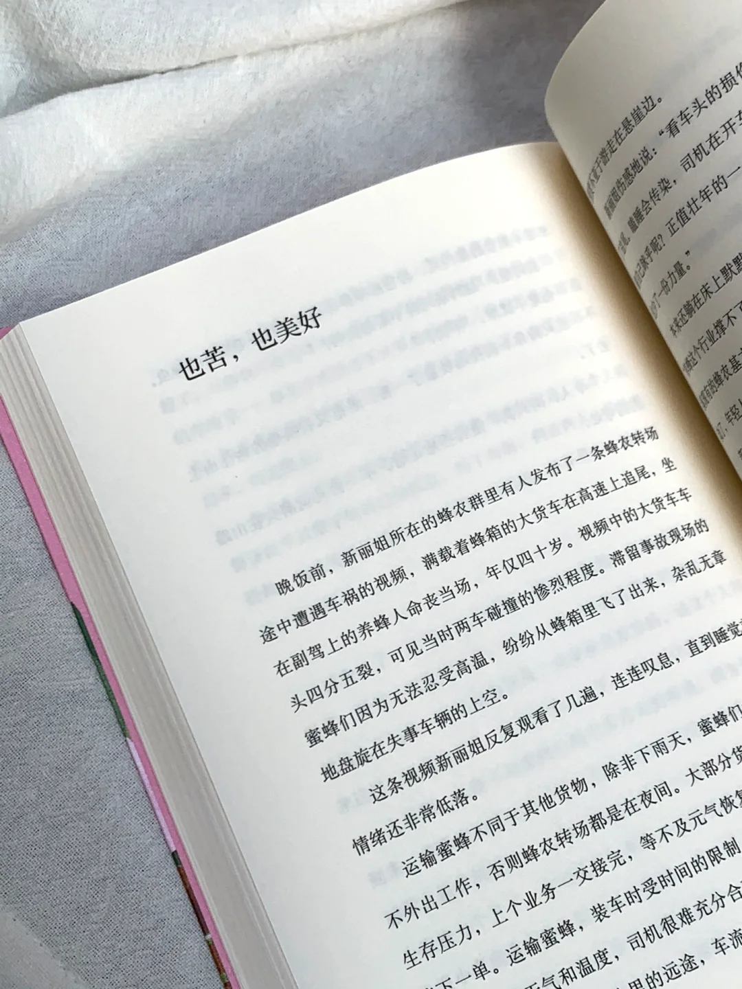 太太太美了🌸怎么会有这么治愈的书啊！