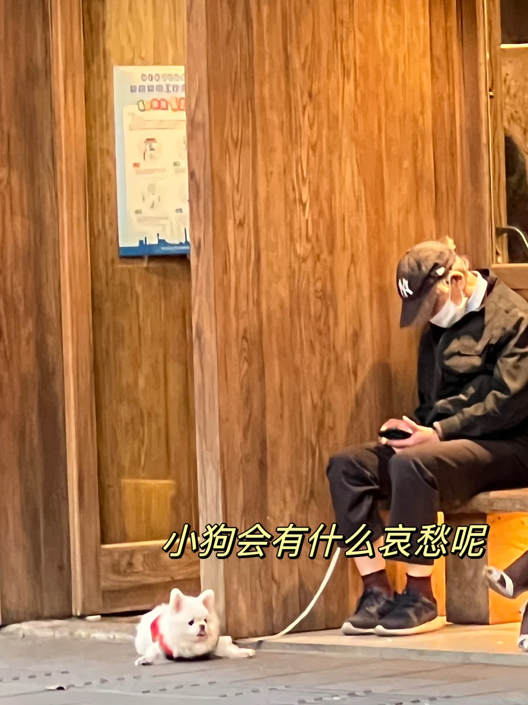 📖｜还不会薅资源？码住实现电子书自由‼️