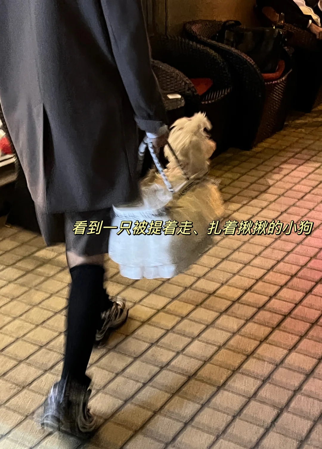 📖｜还不会薅资源？码住实现电子书自由‼️