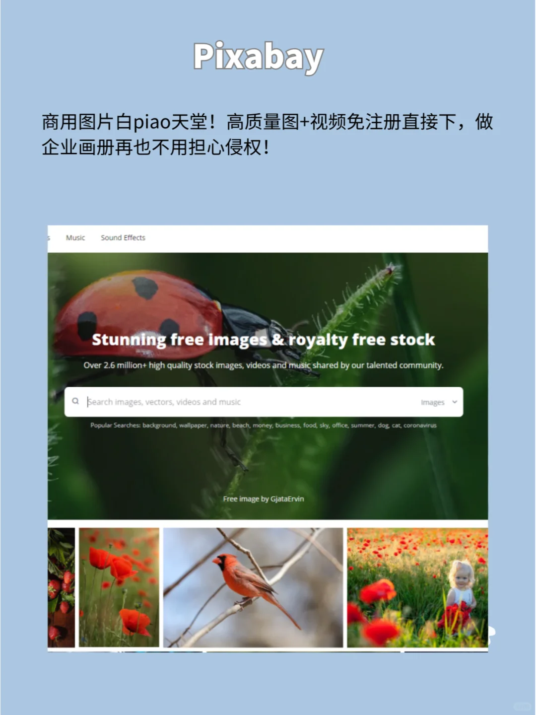 6个免！费！宝藏资源网站，大开眼界❗