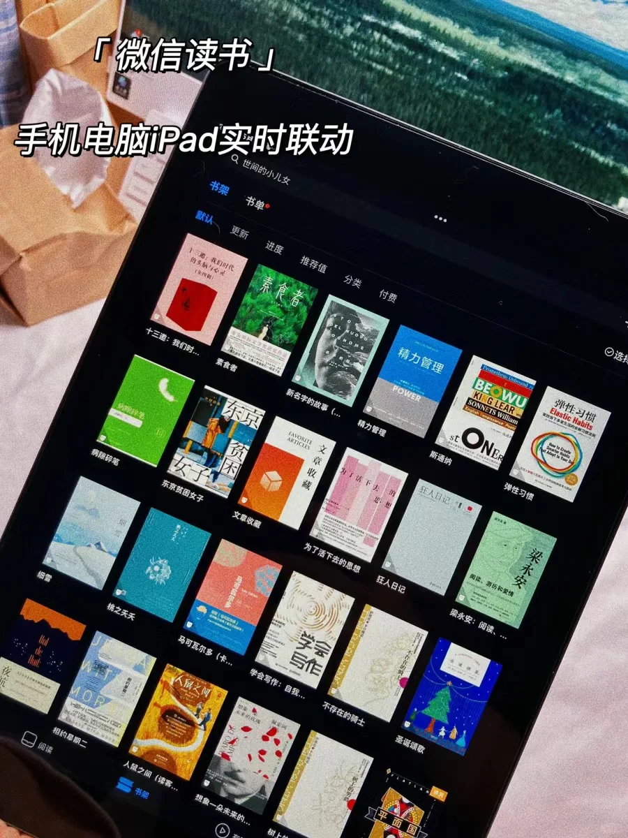 打造阅读型iPad📖实现电子书自由