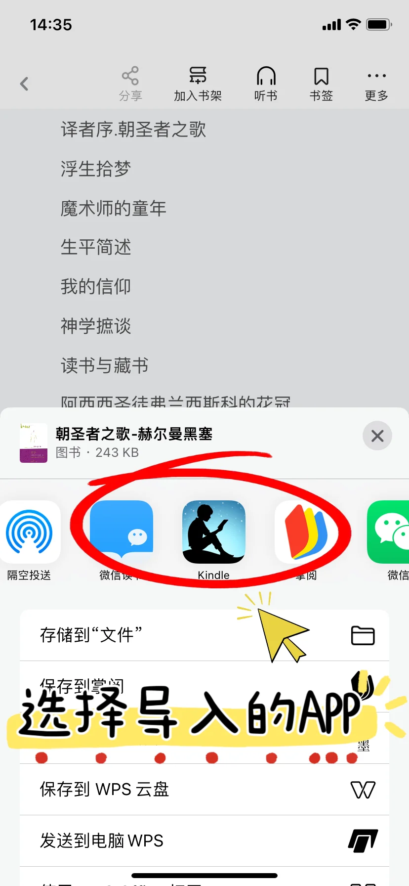 2025年kindle还能用吗❓
