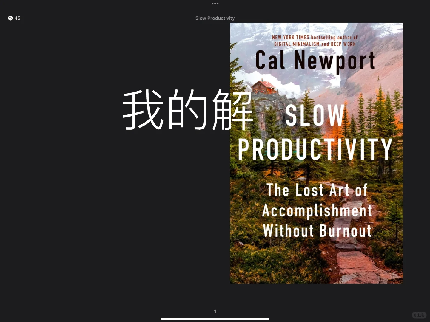 Slow Productivity 生产力低下 双语版