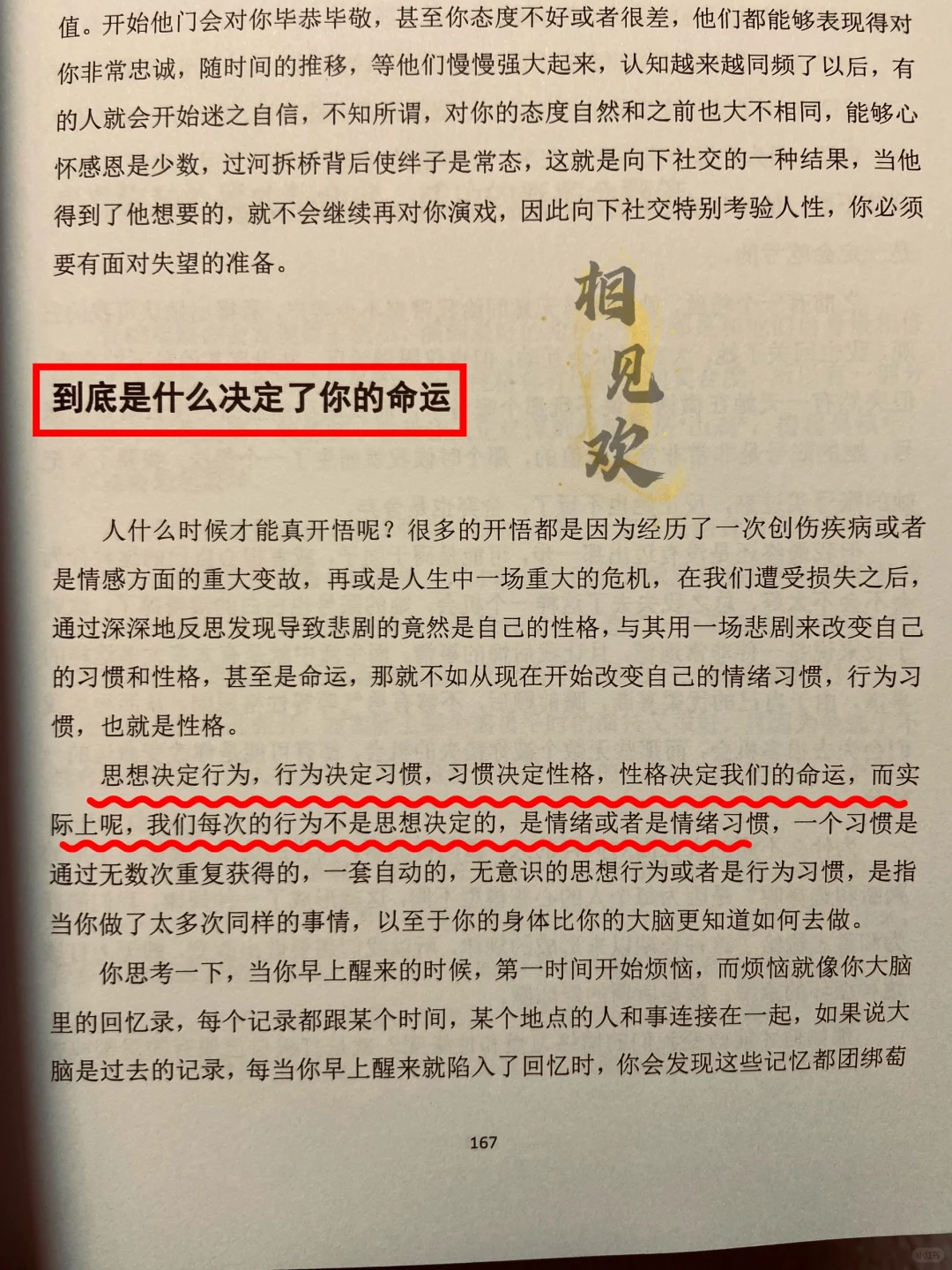 大美女的贵气！