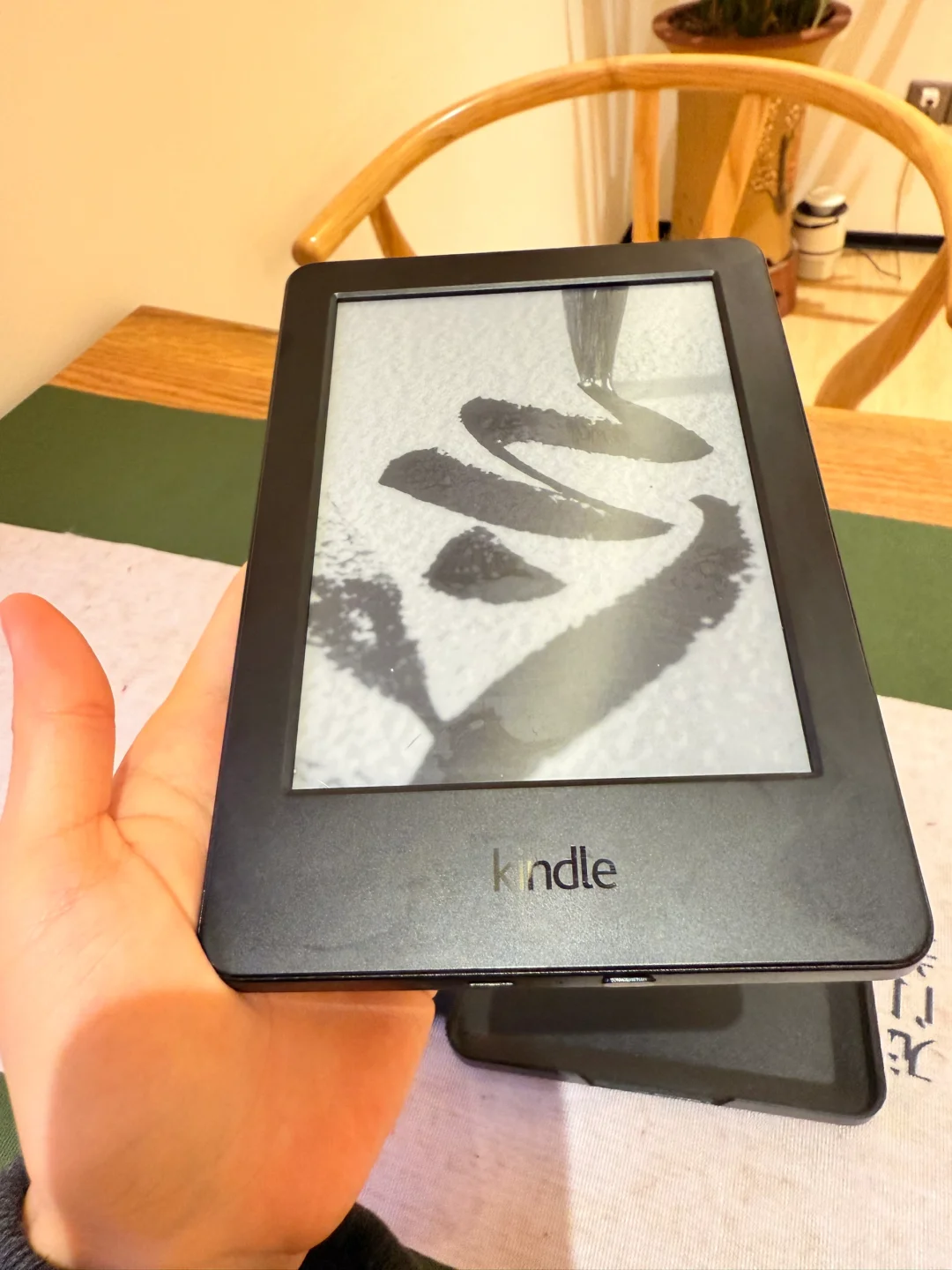 哪个好人家来收走kindle….