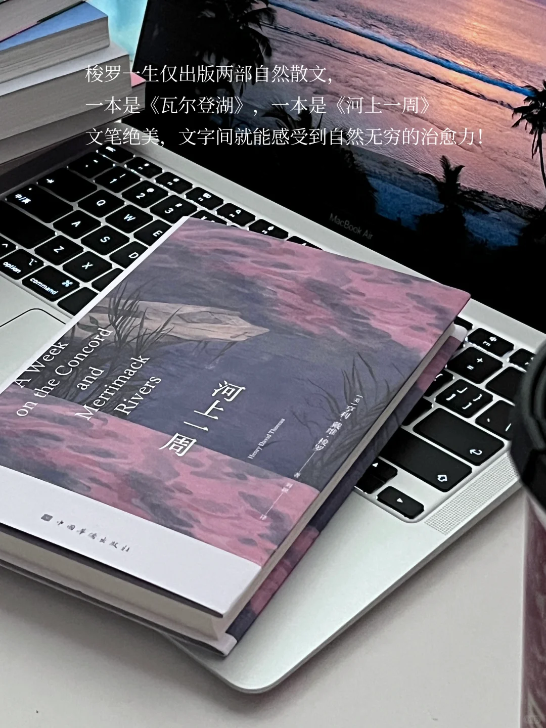 📖治愈书单 ｜ 想疯狂安利给全世界！！
