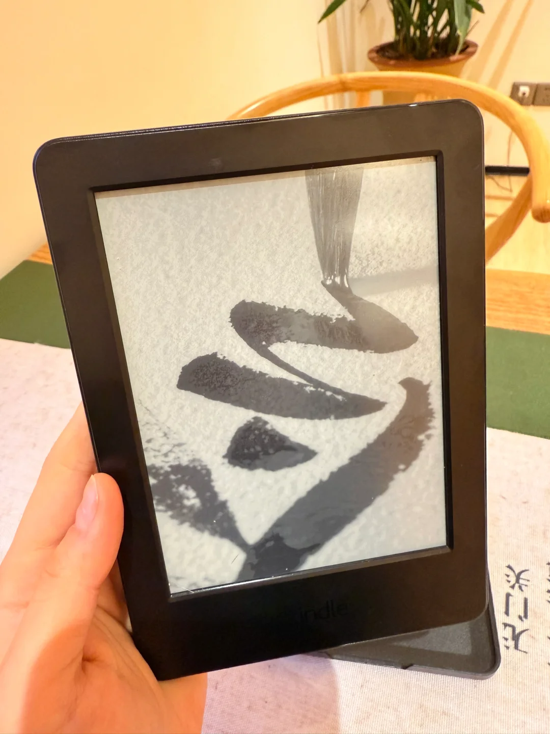 哪个好人家来收走kindle….