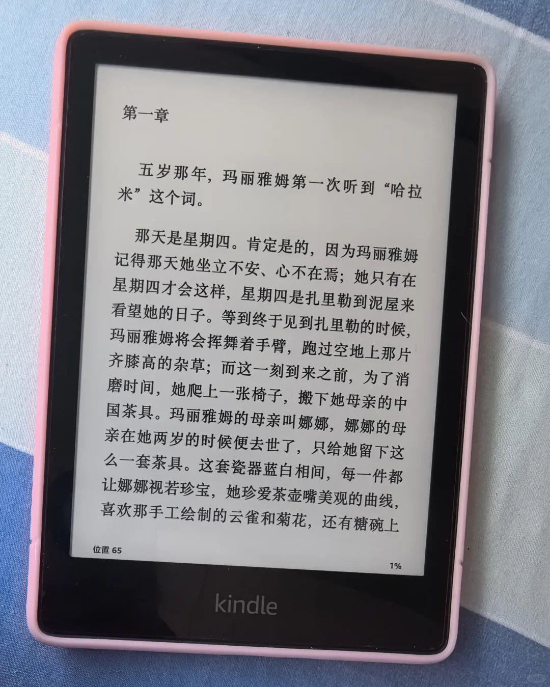 kindle是我花过最值的一笔钱