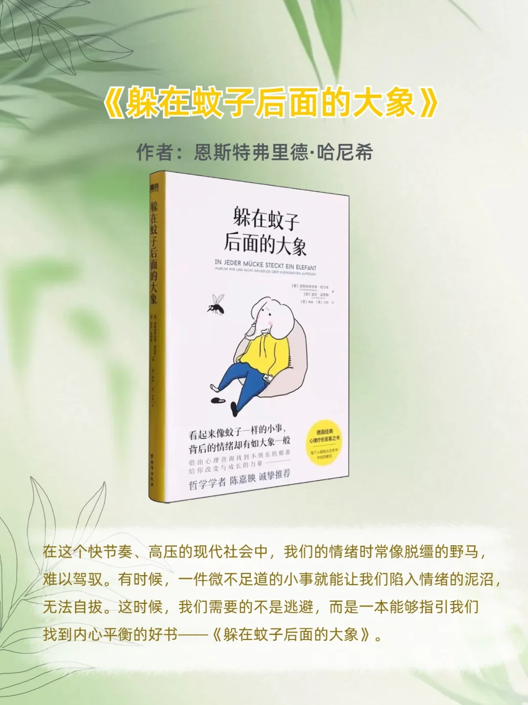 🌟33岁觉醒 | 读完这6本书，我突然不焦虑了