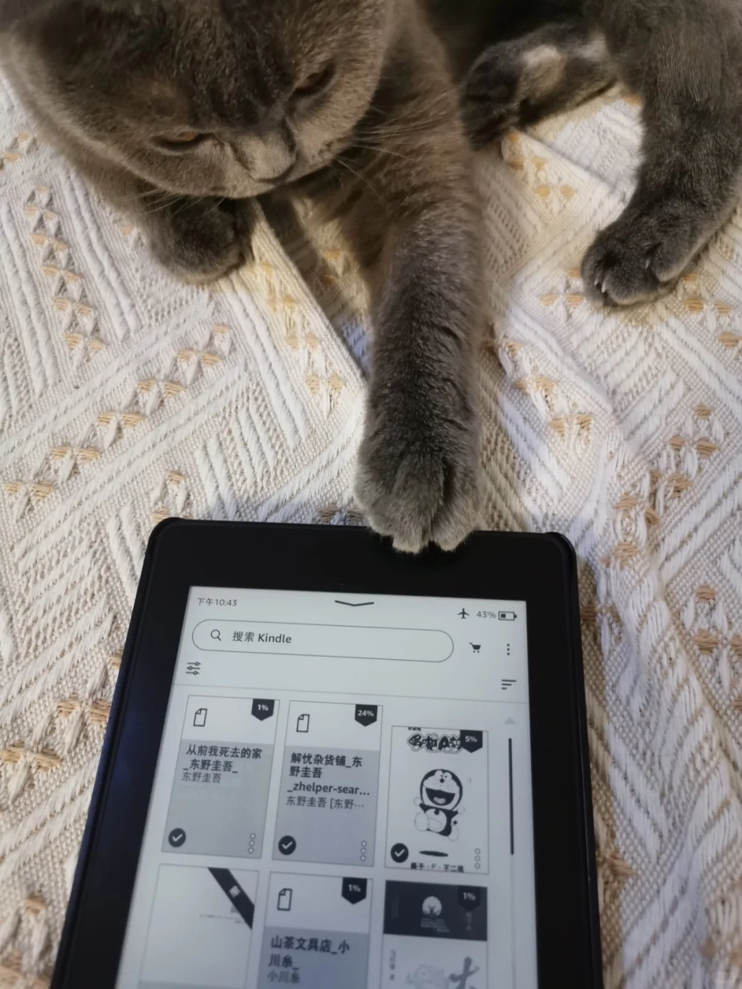怎样淘到高质量二手kindle